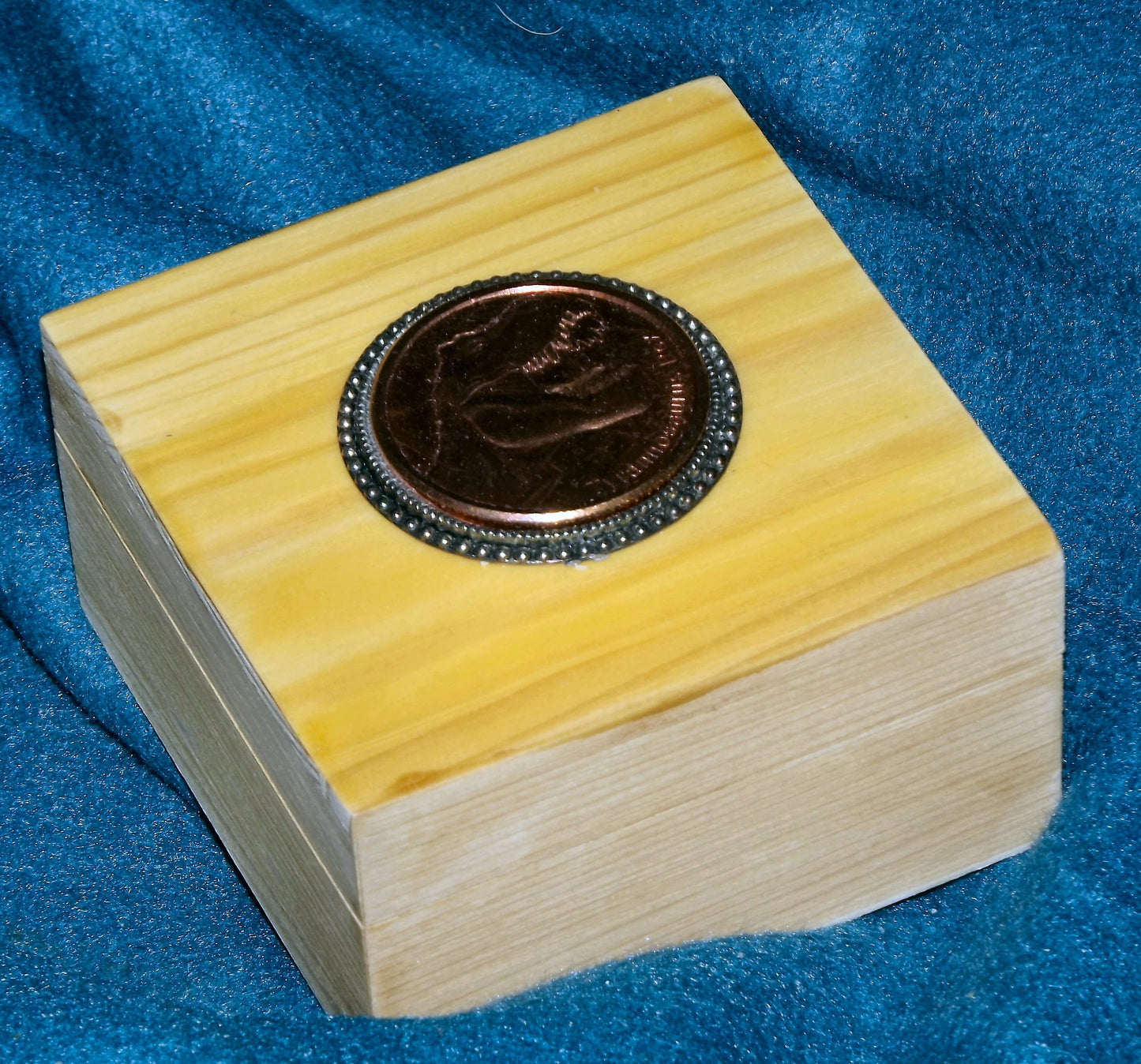 Bullion T Rex Coin Wooden Box